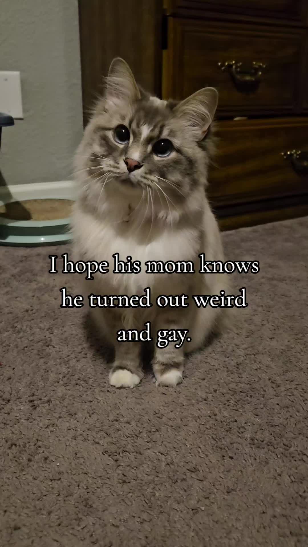 @rogerbiscuits