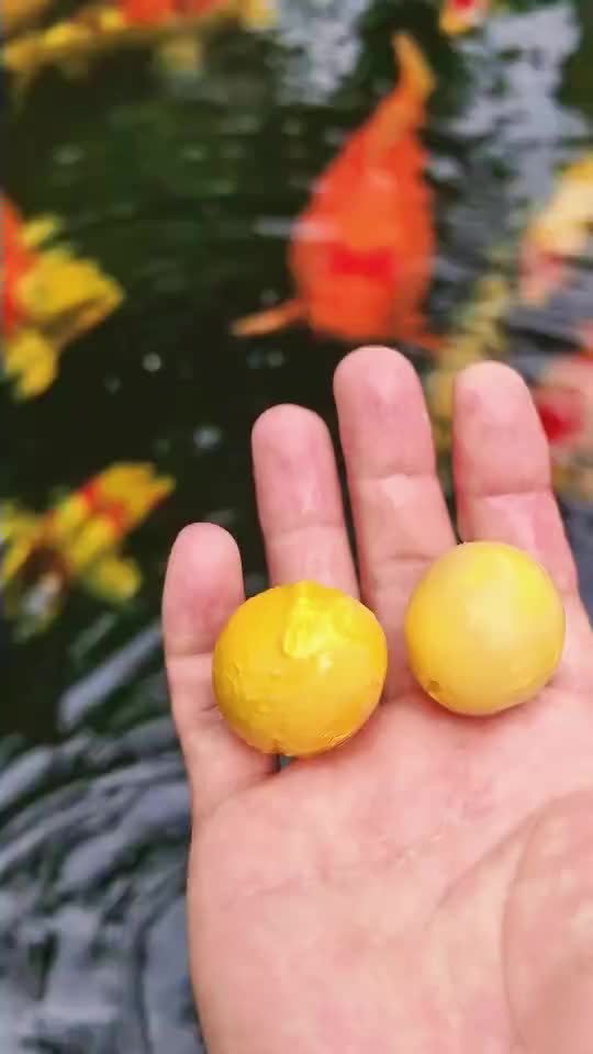 @CaCanhAnhSaoMai