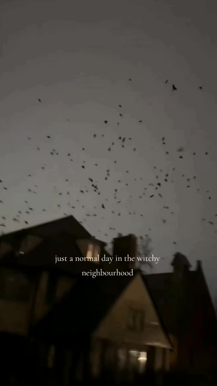 @Dark Raven ASMR