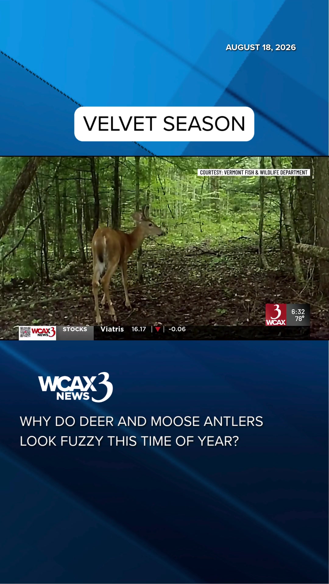 @WCAX-TV