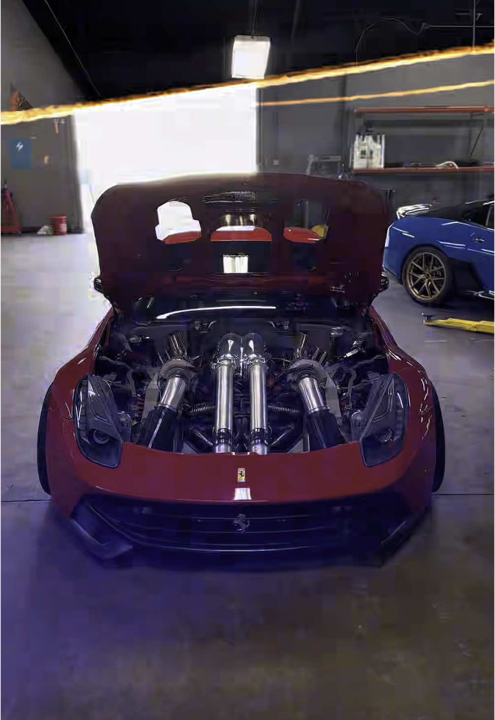 @DAILY DRIVEN EXOTICS