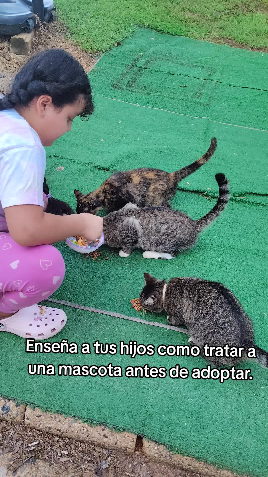 @Charlotte🐕🦺🐈🐕🦬🐐🐎🐄🐒