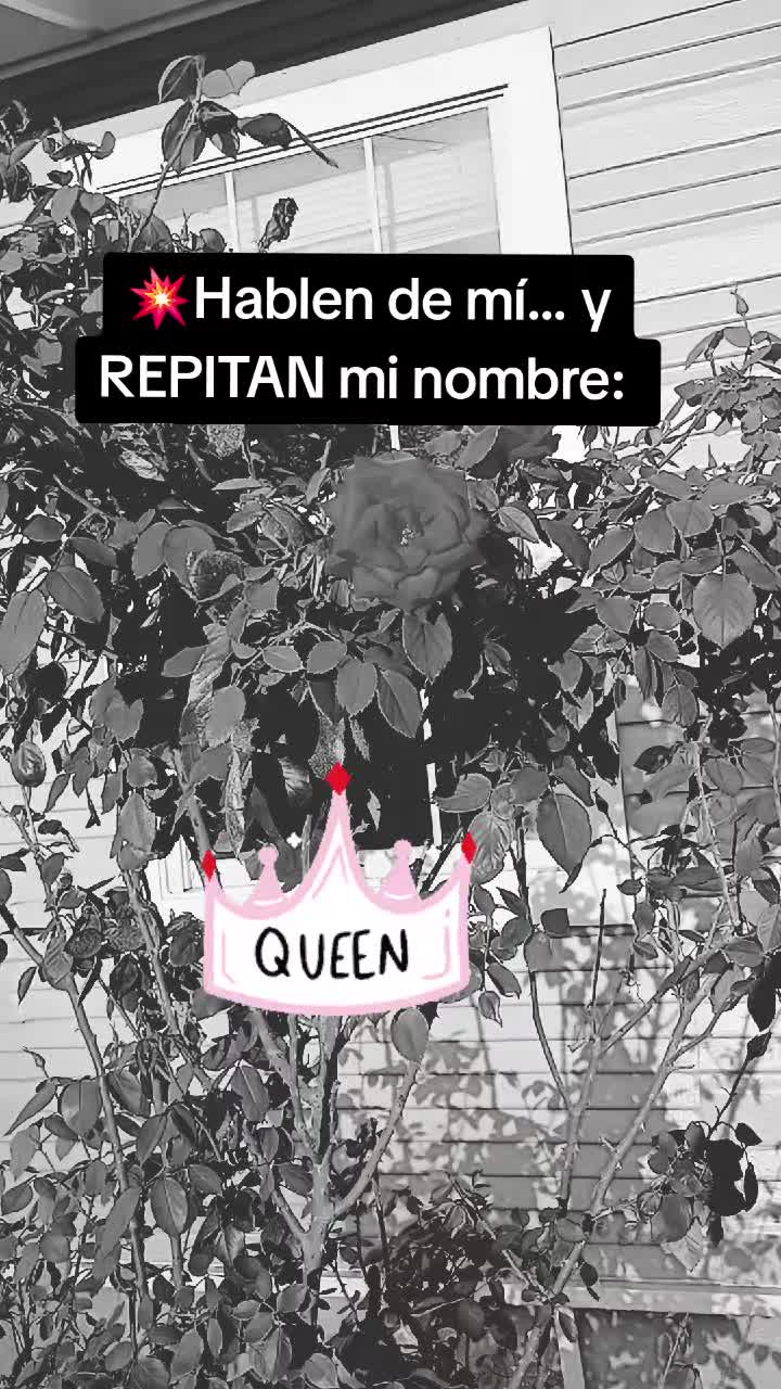 @Leina Galeusia