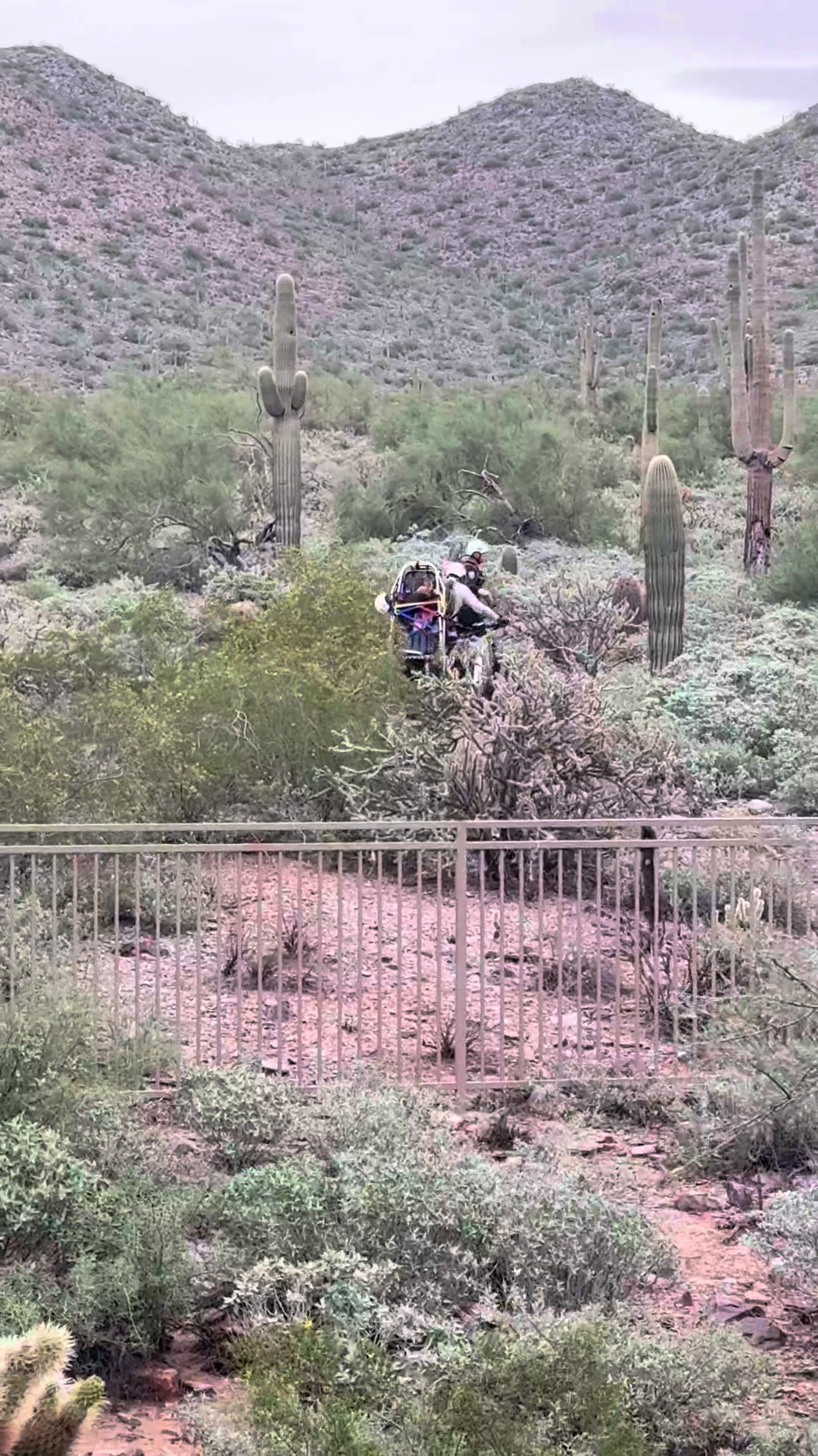 @12newsaz