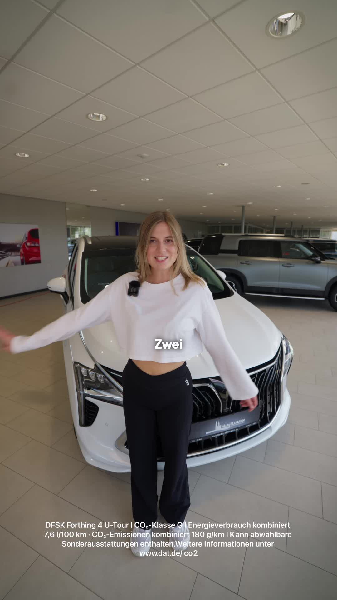 @Autohaus Ellmann