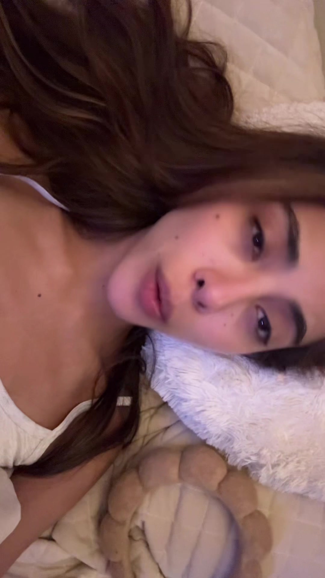 @sofilacuriosaa