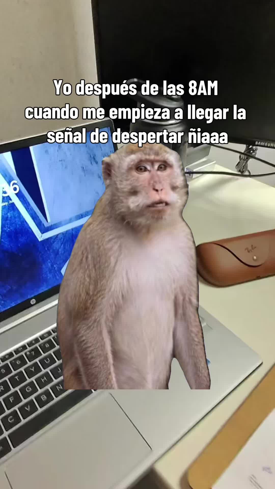 @bluecollar.gordita10 👷🏻♀️🦺