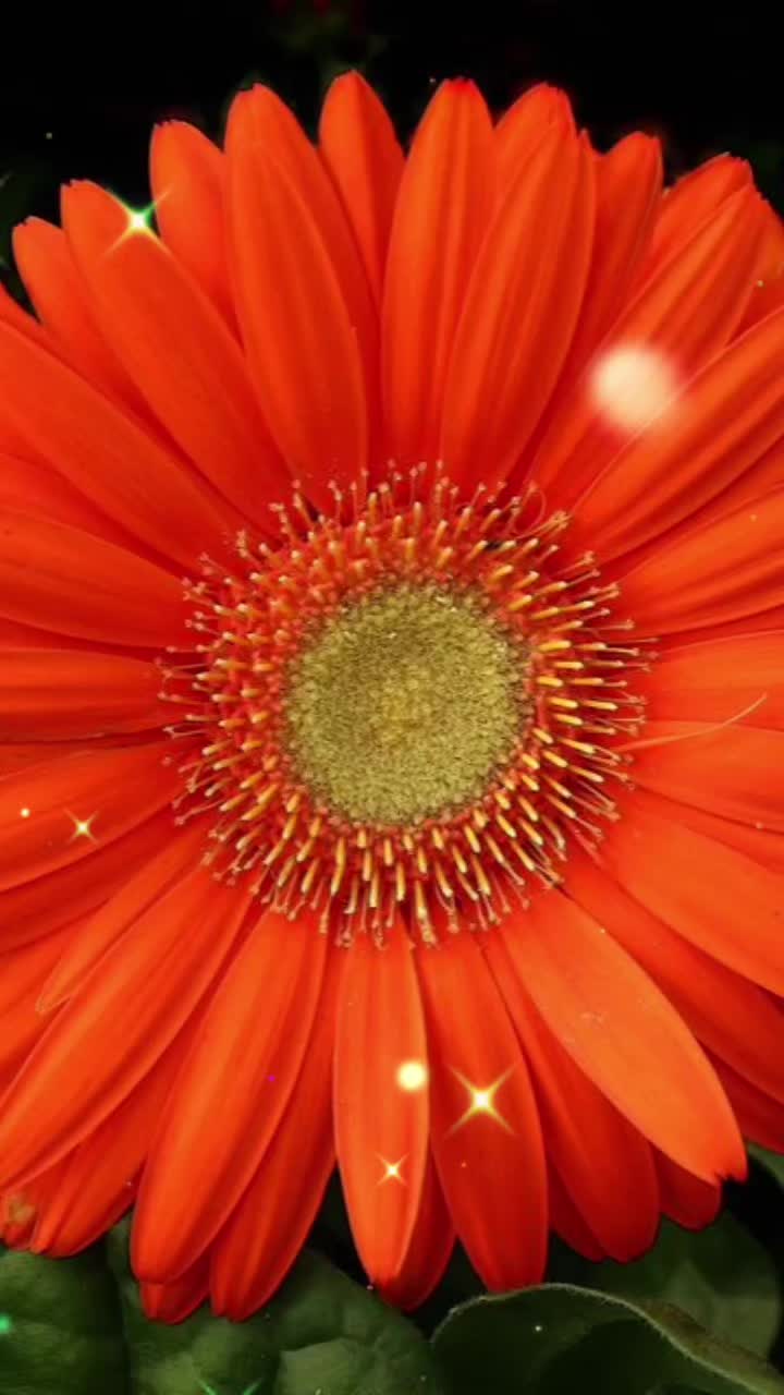 @Nazia Bhati๐ท