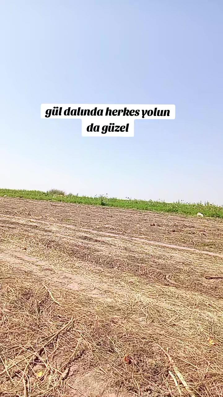@🥀HAYALDİBİTTİ🥀