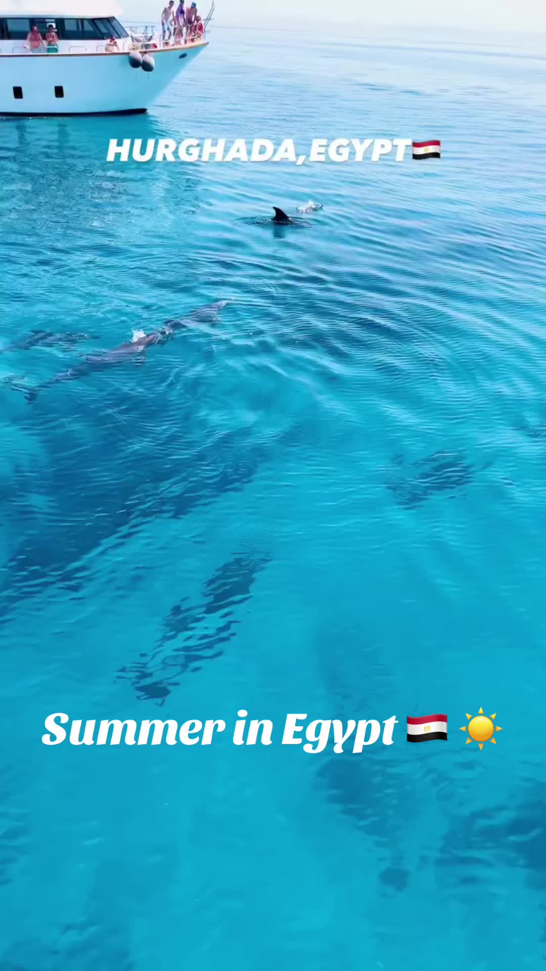 @Proud Egyptian ๐ช๐ฌ