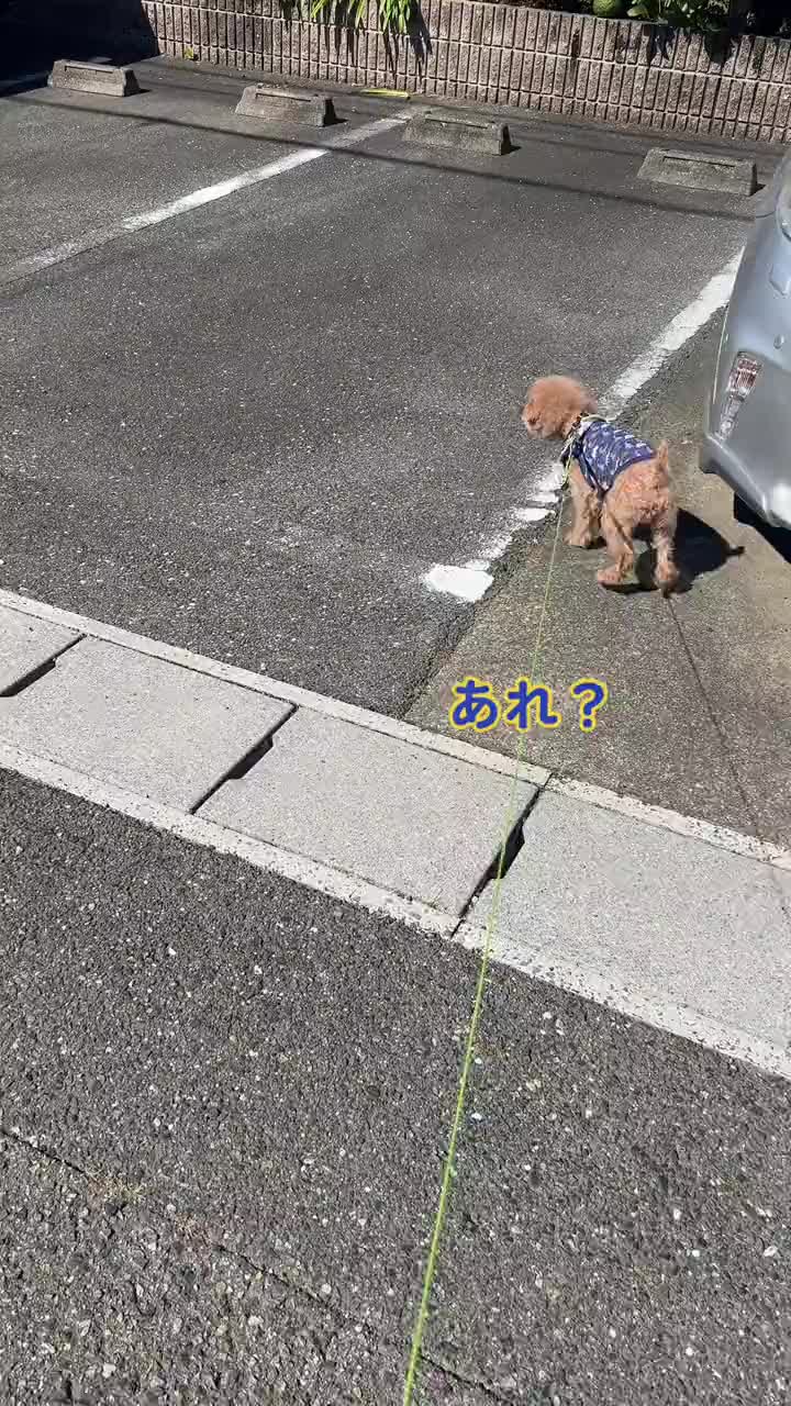 @たこ志