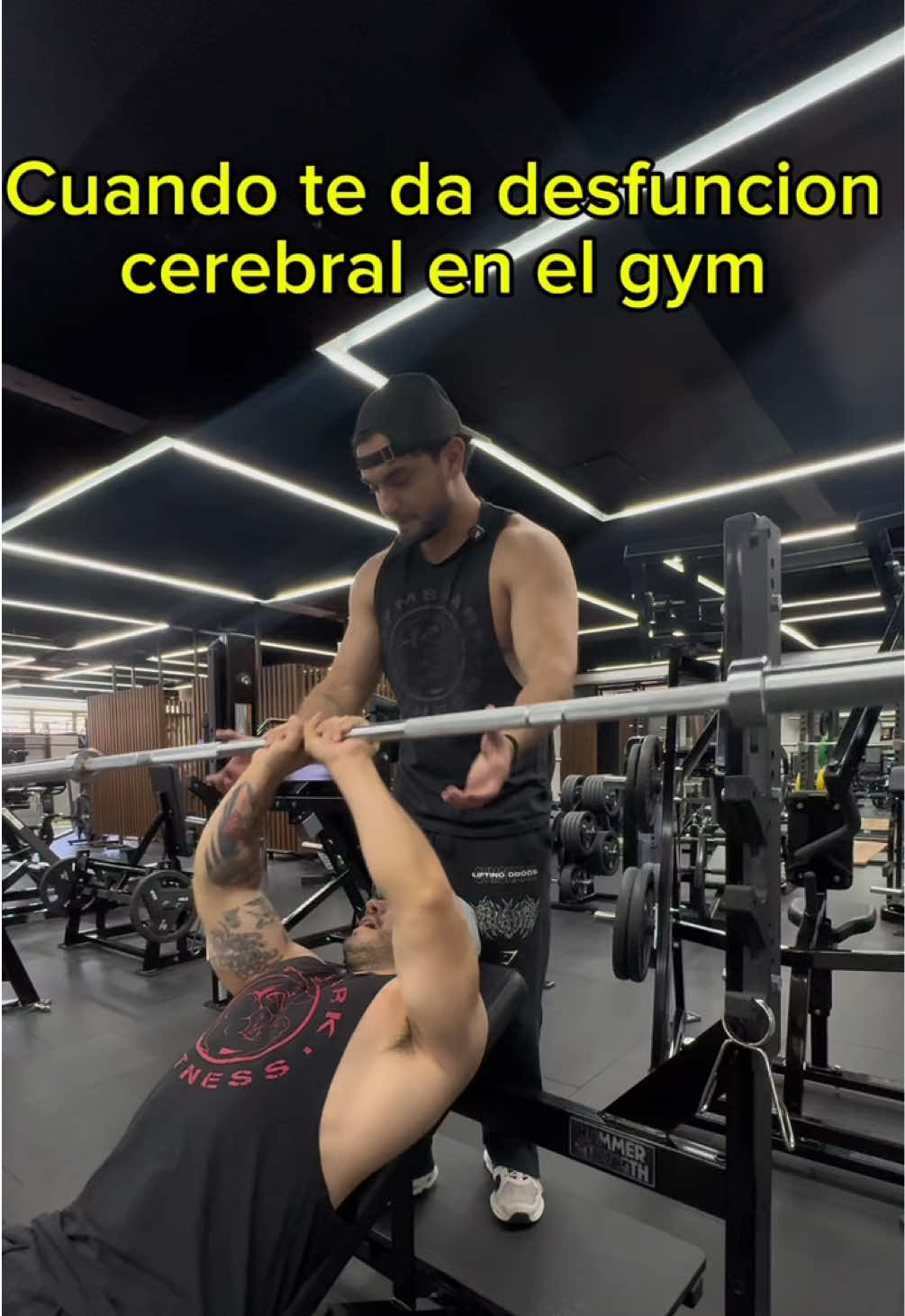 @Mapache