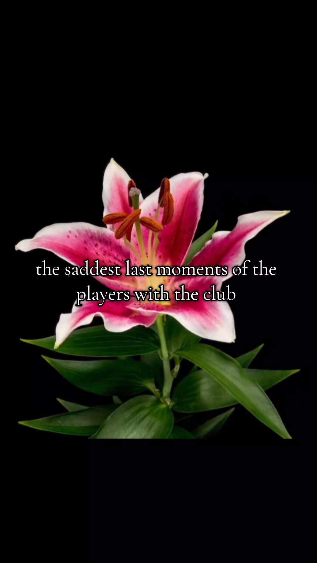 @k_aser777
