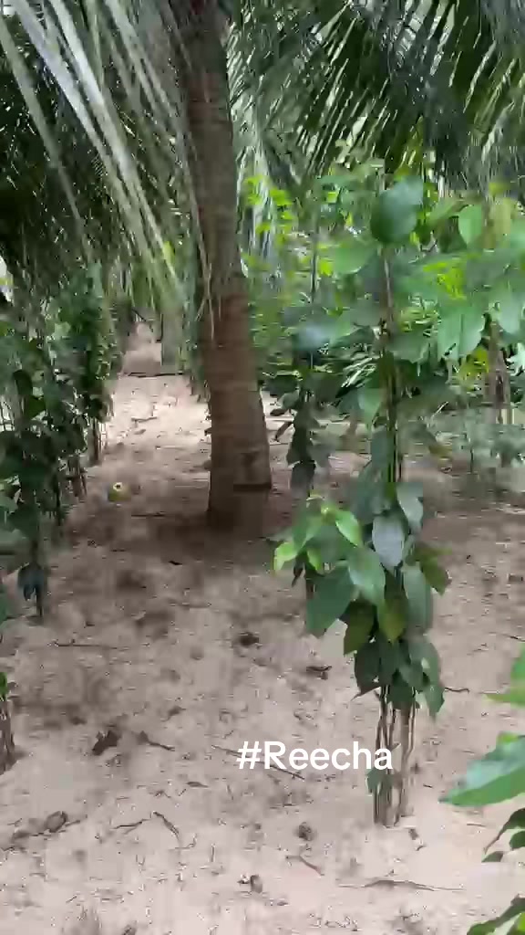 @Baskaran22