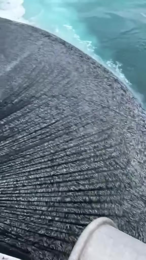 @Fouad pêcheur