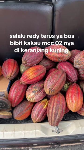 @agro lestari jaya 2