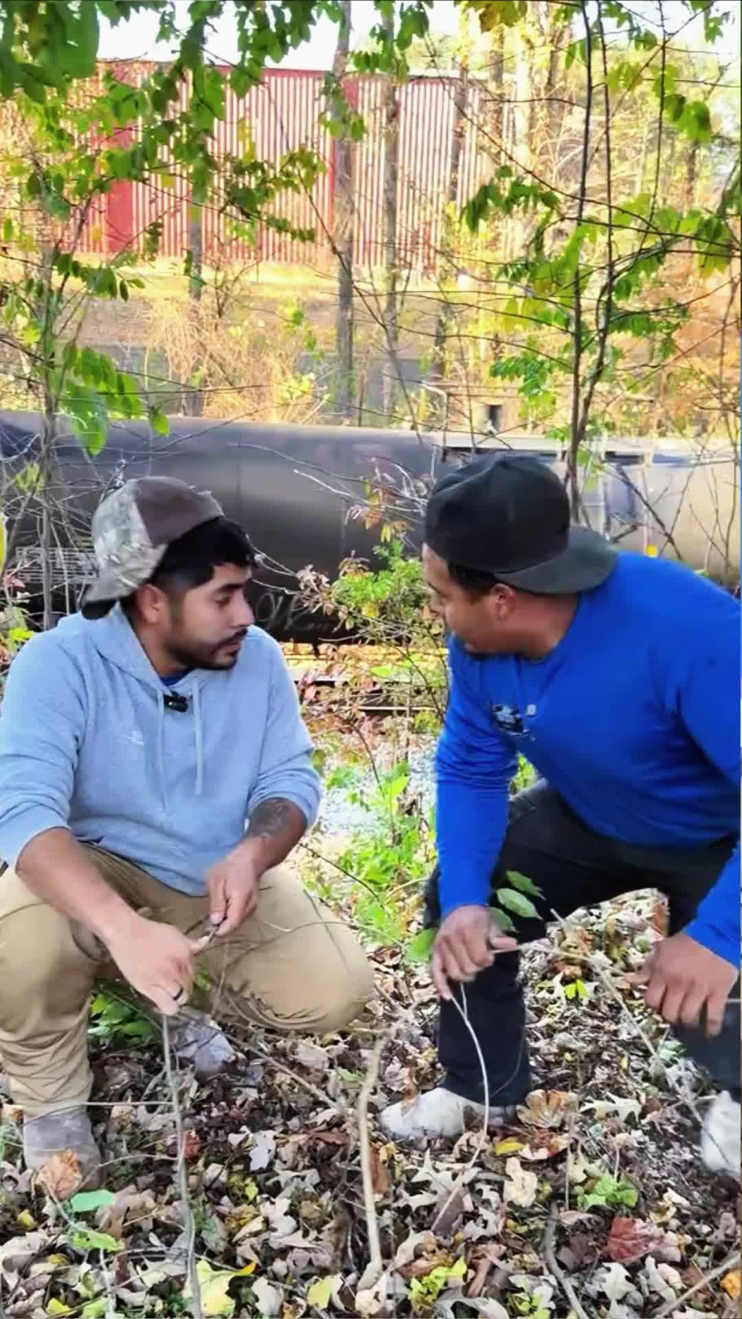 @8w45ghmgrvp