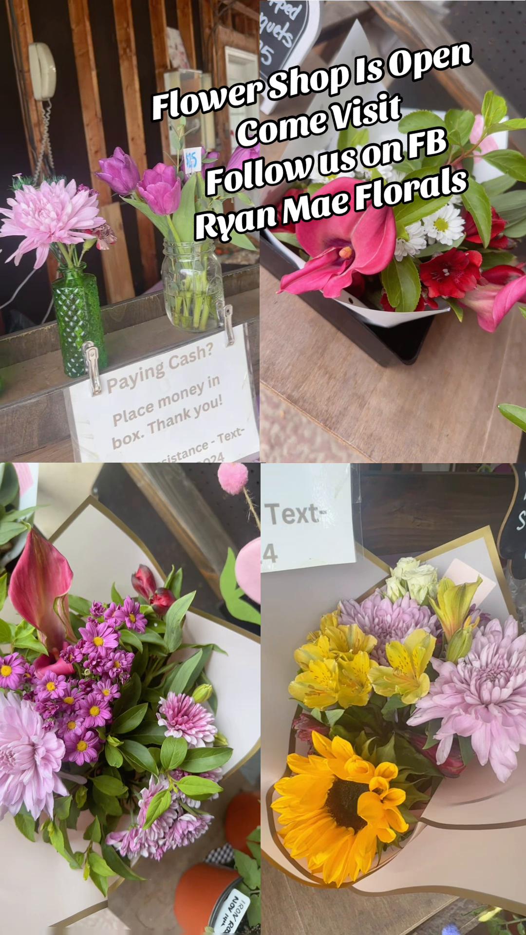 @Jayme