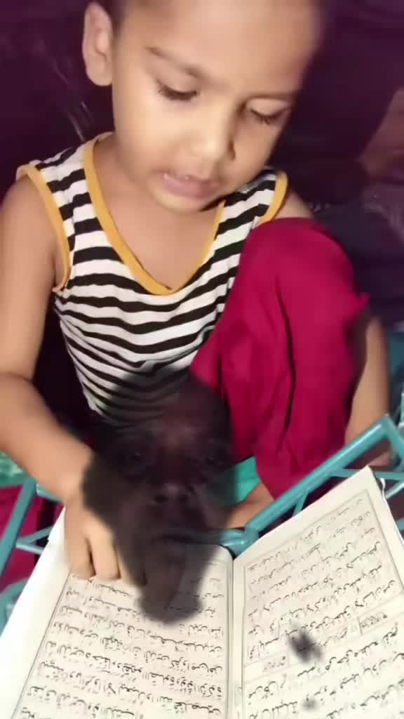 @রাজ কন্য
