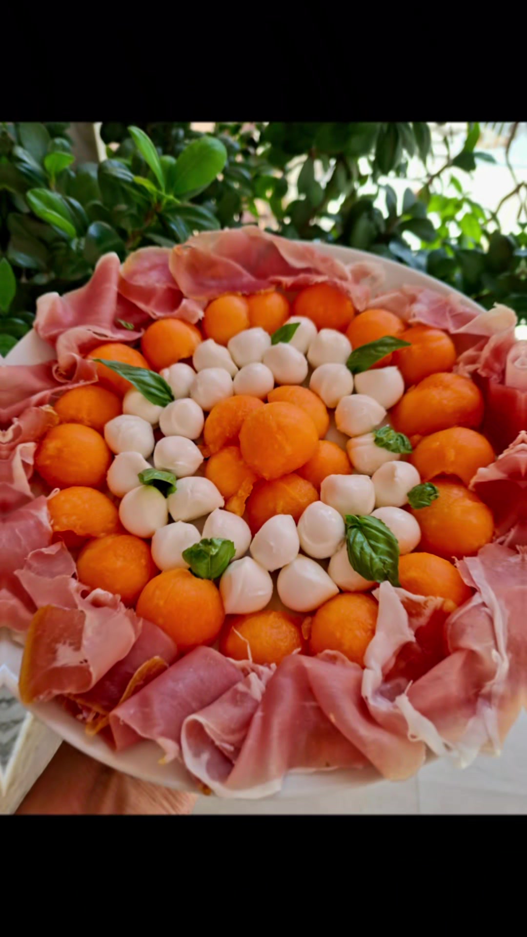 @Michelina Conte373