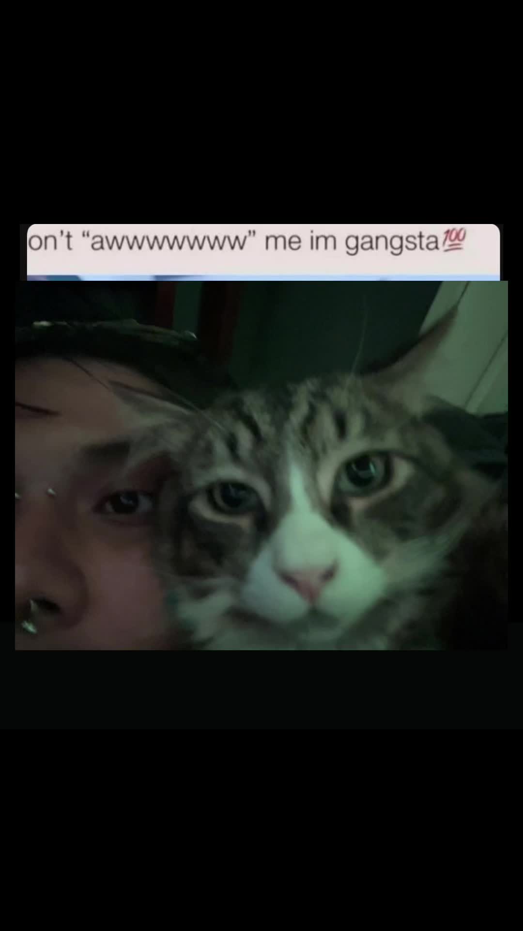 @ipukepoison