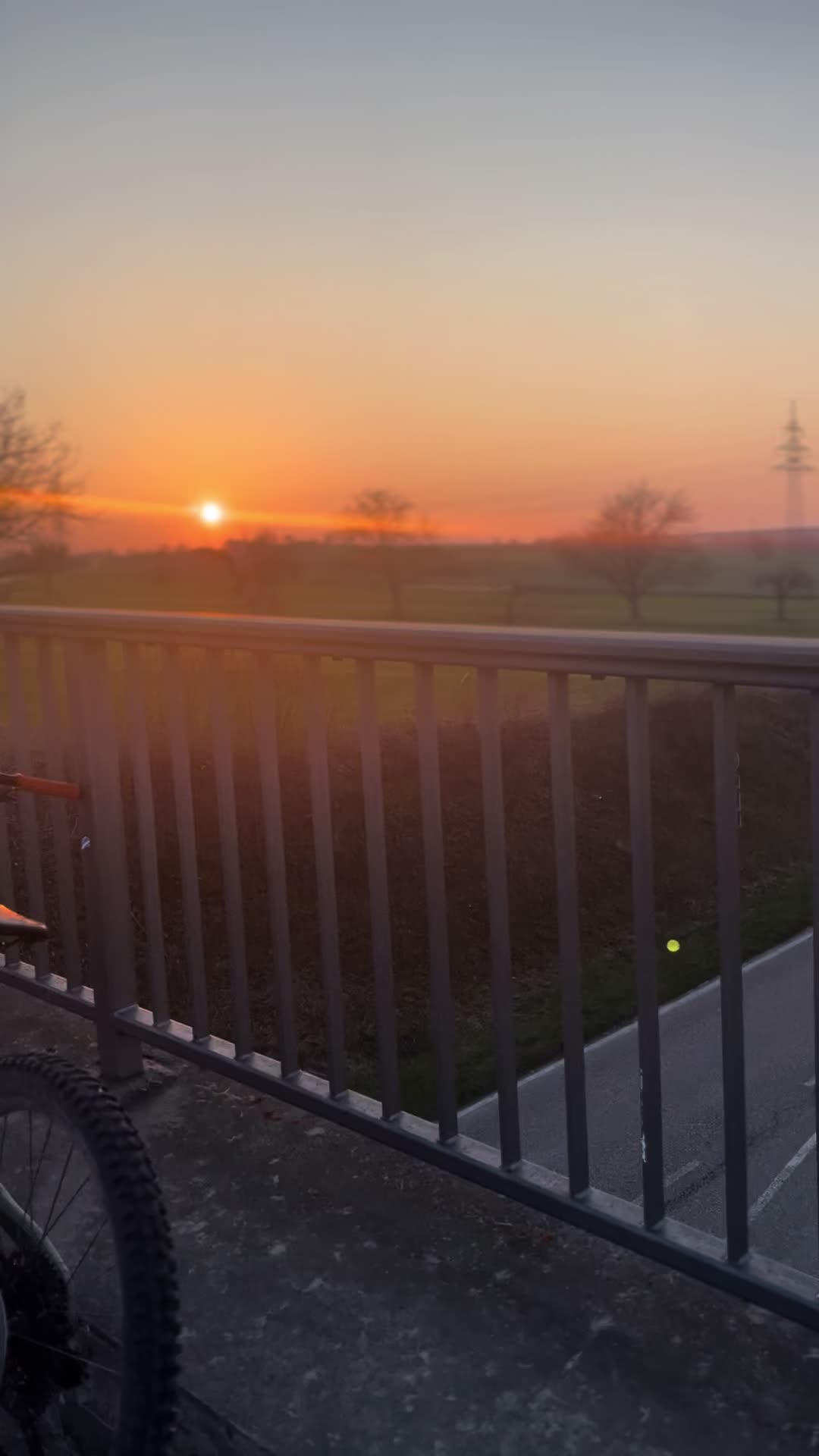 @william.mci🌲