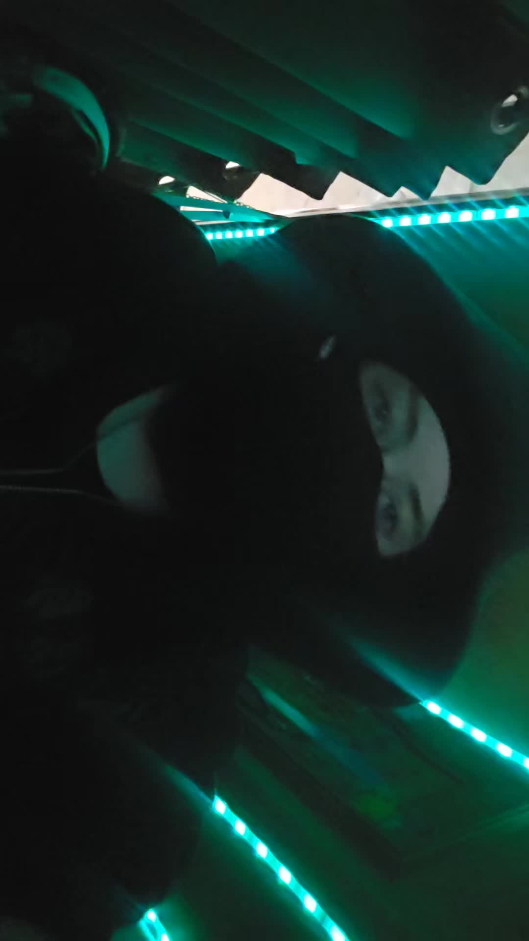 @†+โ+ ๐ณ๐๐๐๐ณ๐๐๐๐ +โ+†