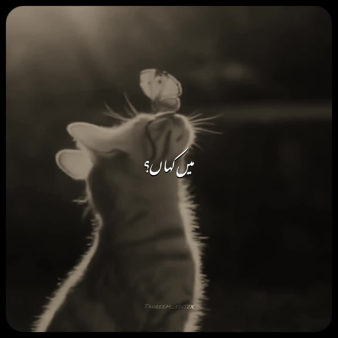 @DEAD SOUL~