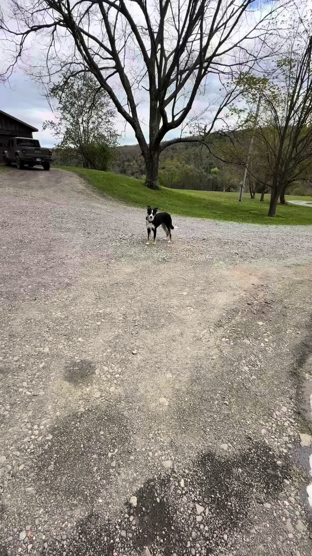 @Murder The Finish