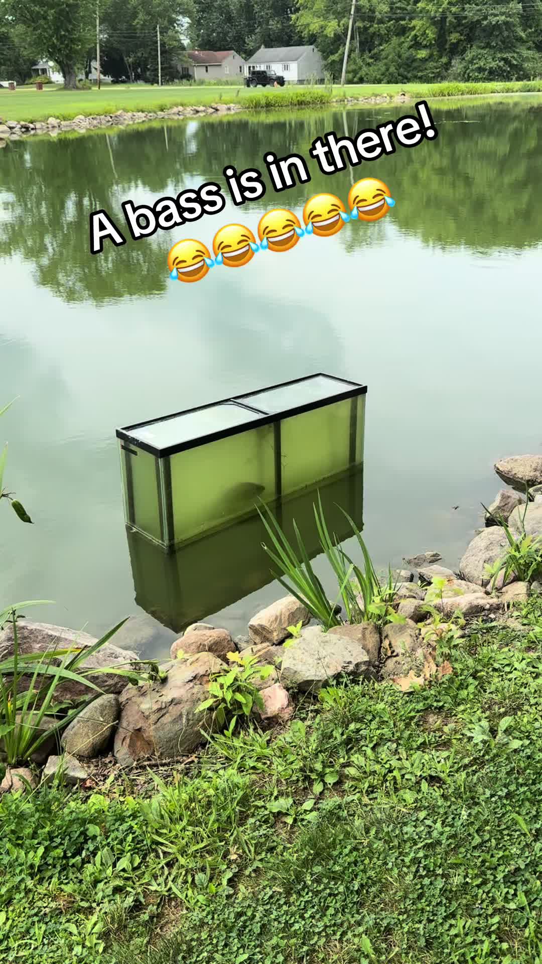 @jim_y🐅