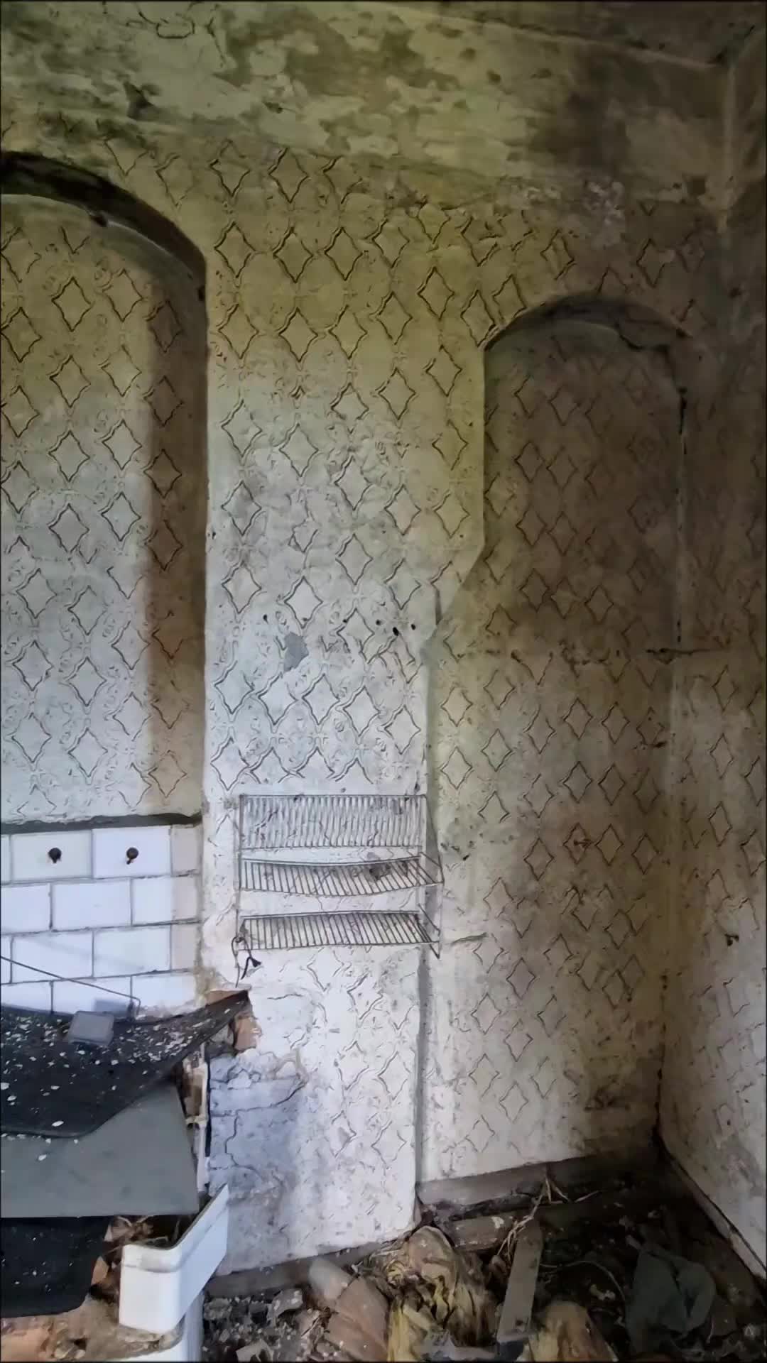 @_dzikiwschod_
