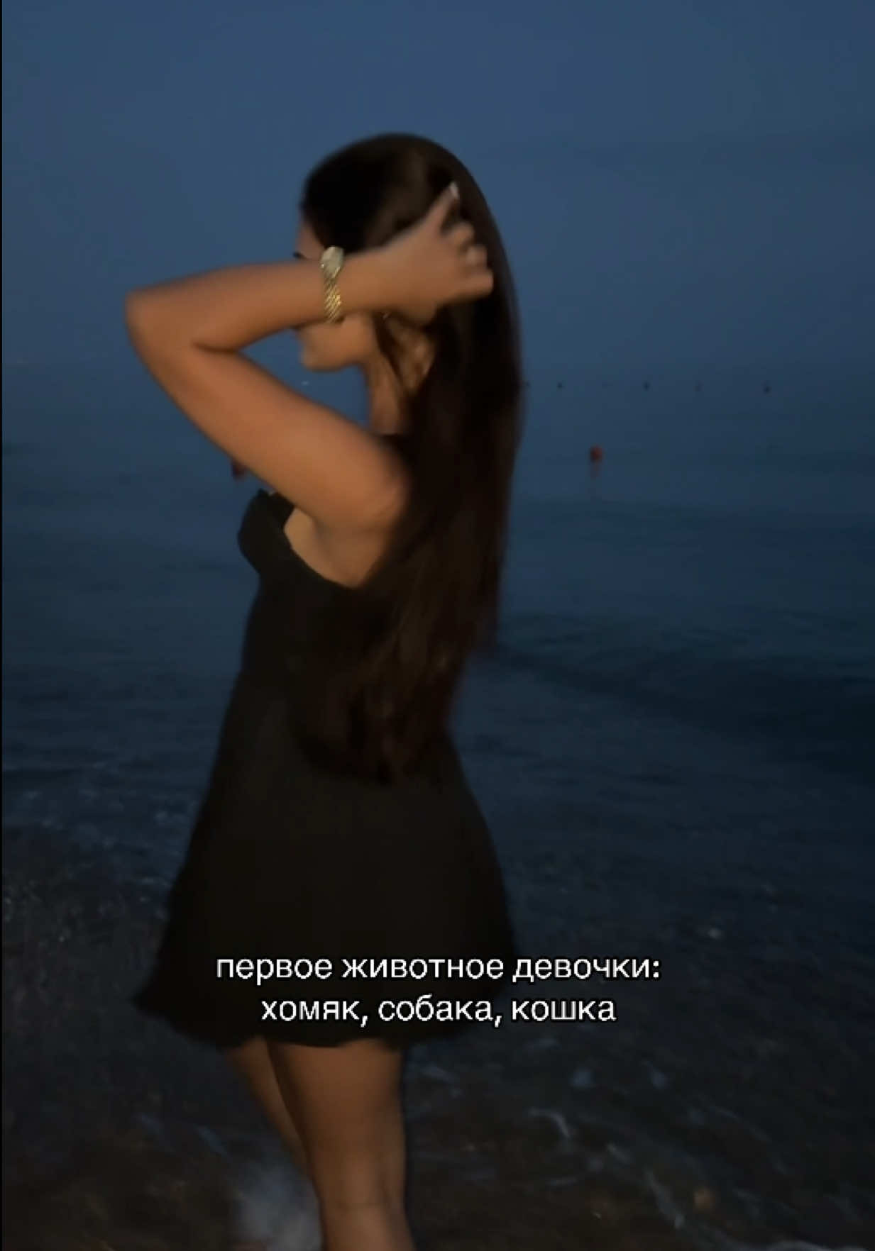 @сашенька 🐾