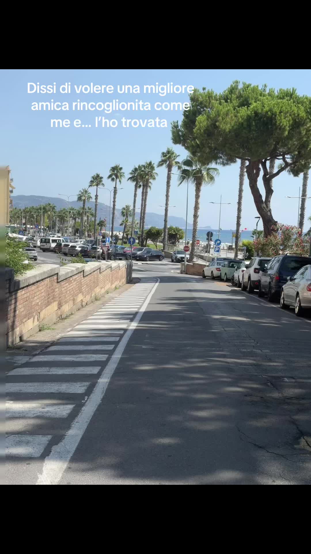 @Sofia.73