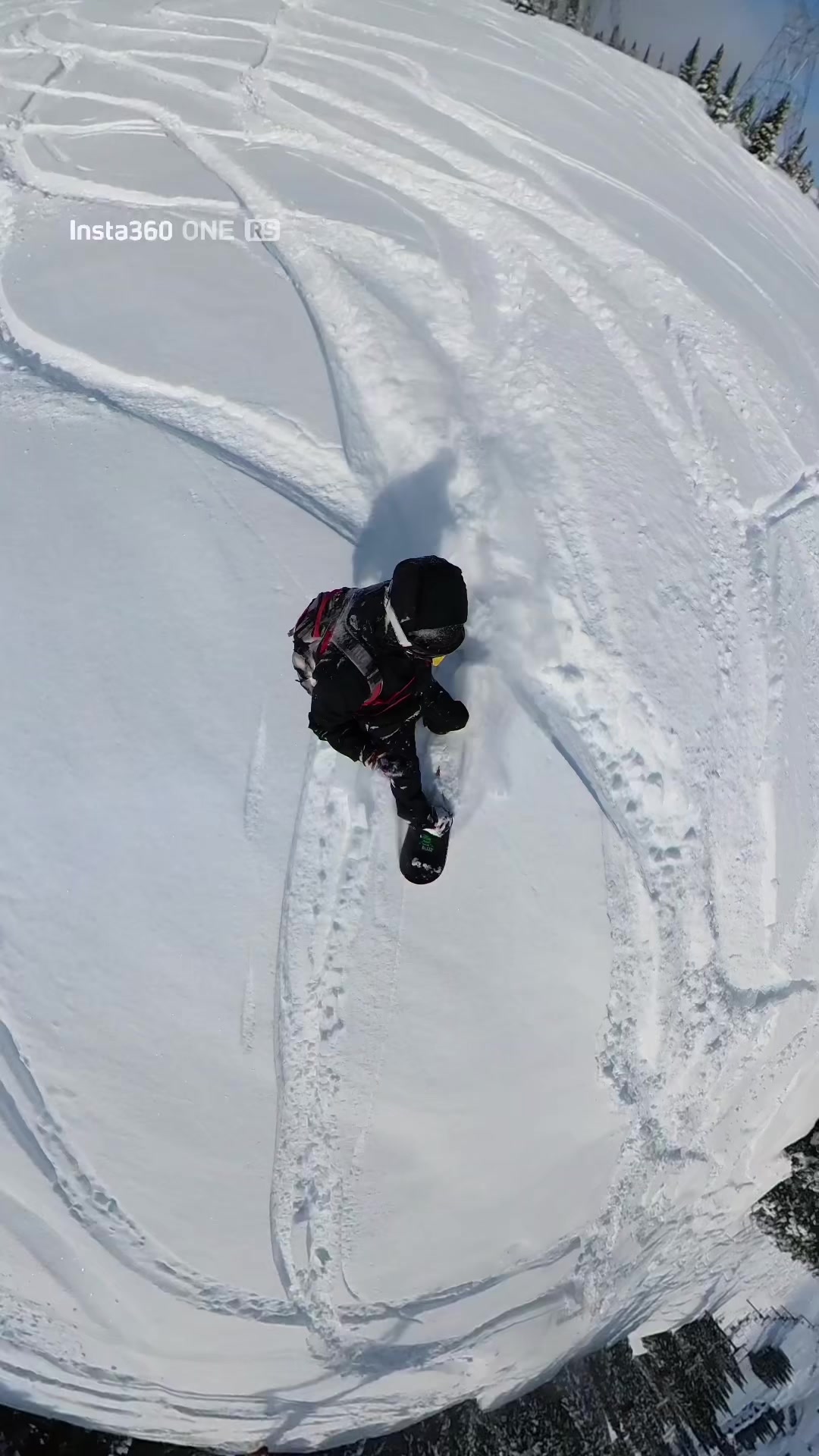 @Team Pogue 🇨🇦