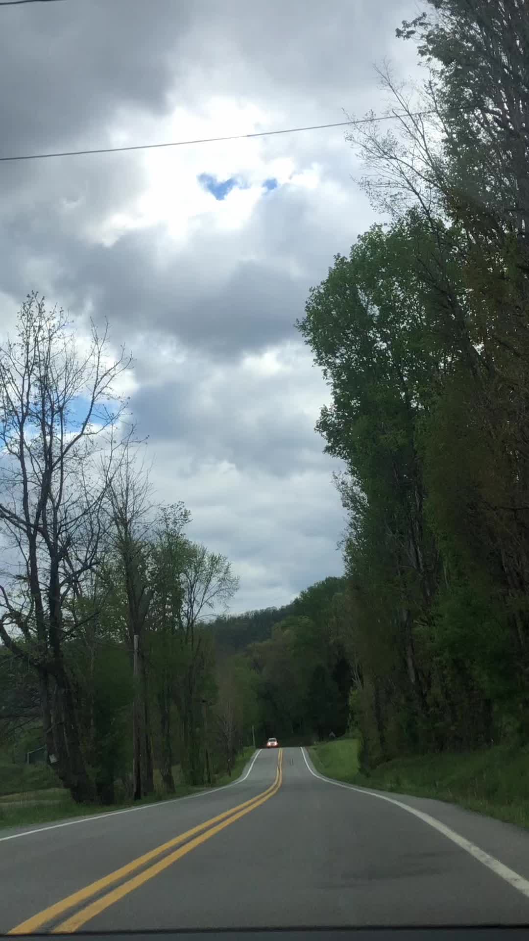 @robinfrazier40