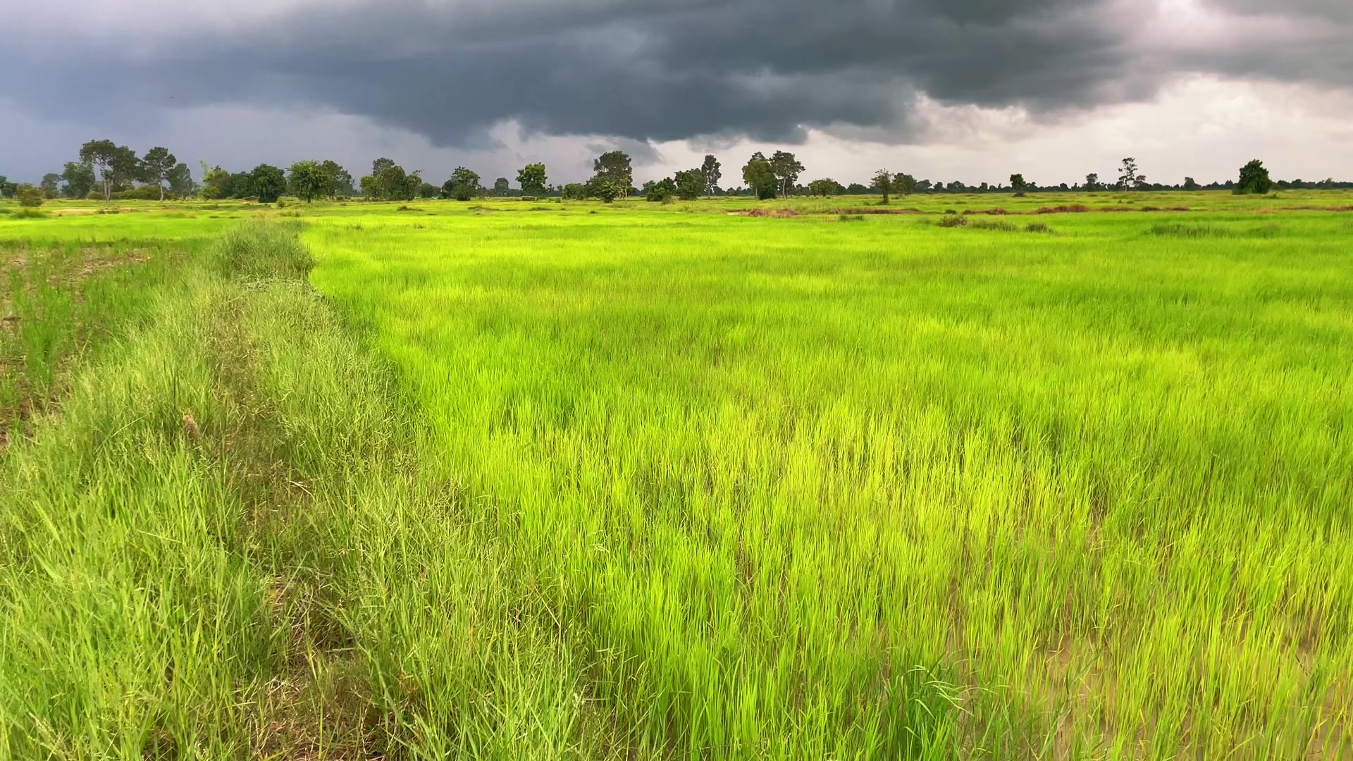 @HENG-ហេង៚ 🌾🌅💛