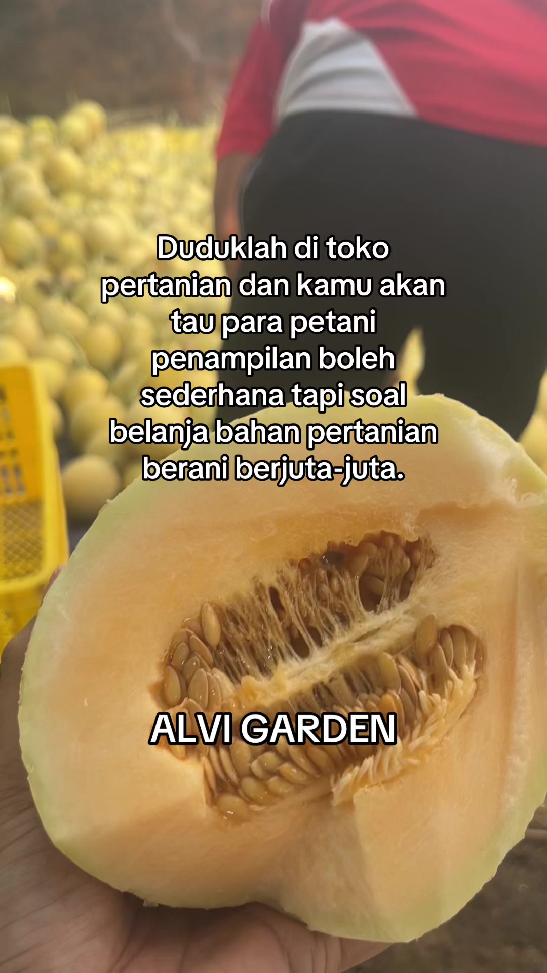 @Alvi Garden