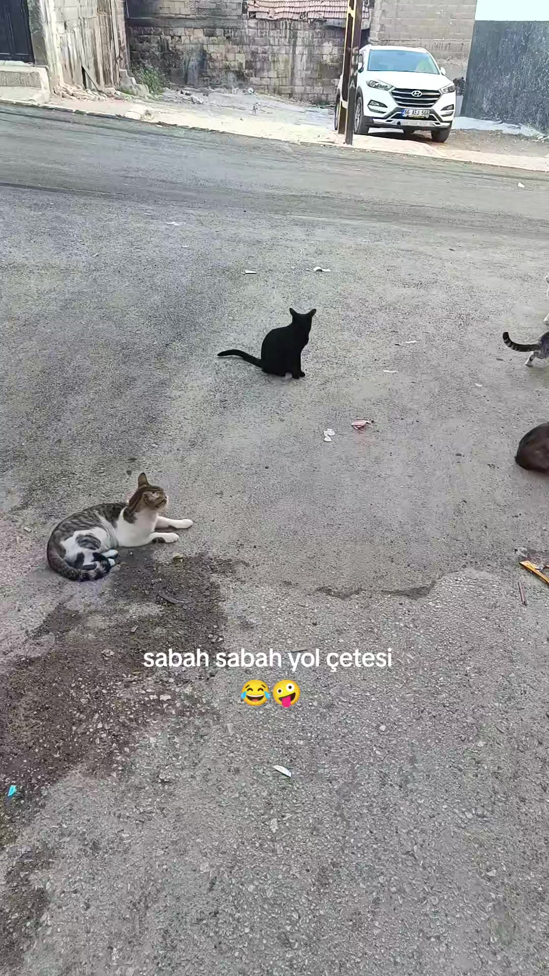 @٭م͜SĘVOS٭