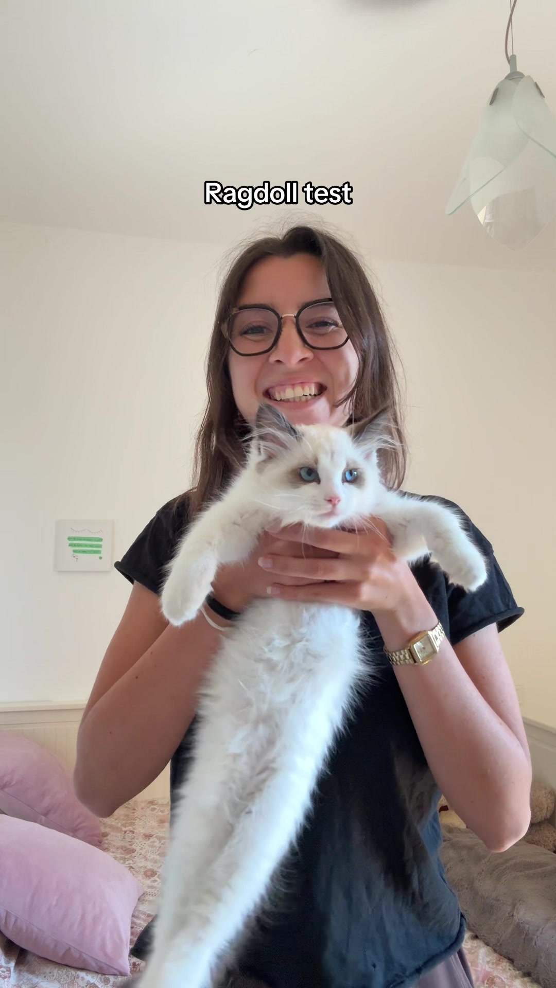 @pasha.the.ragdoll