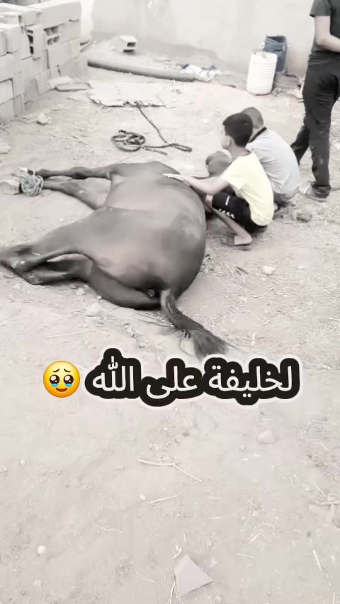 @mhiyaoui.48
