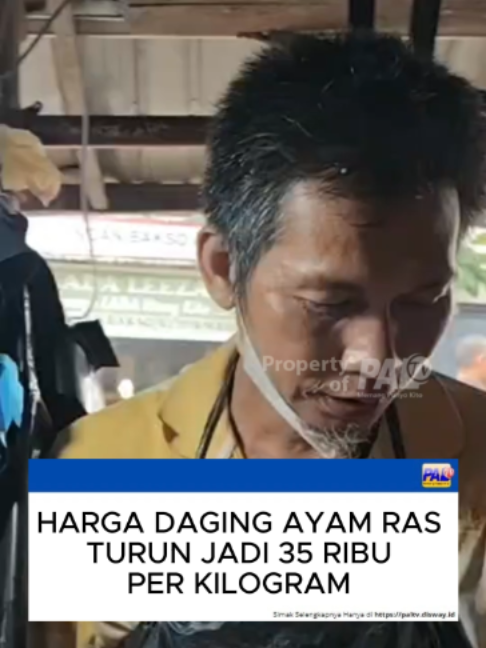 @Paltv-Memang Punyo Kito