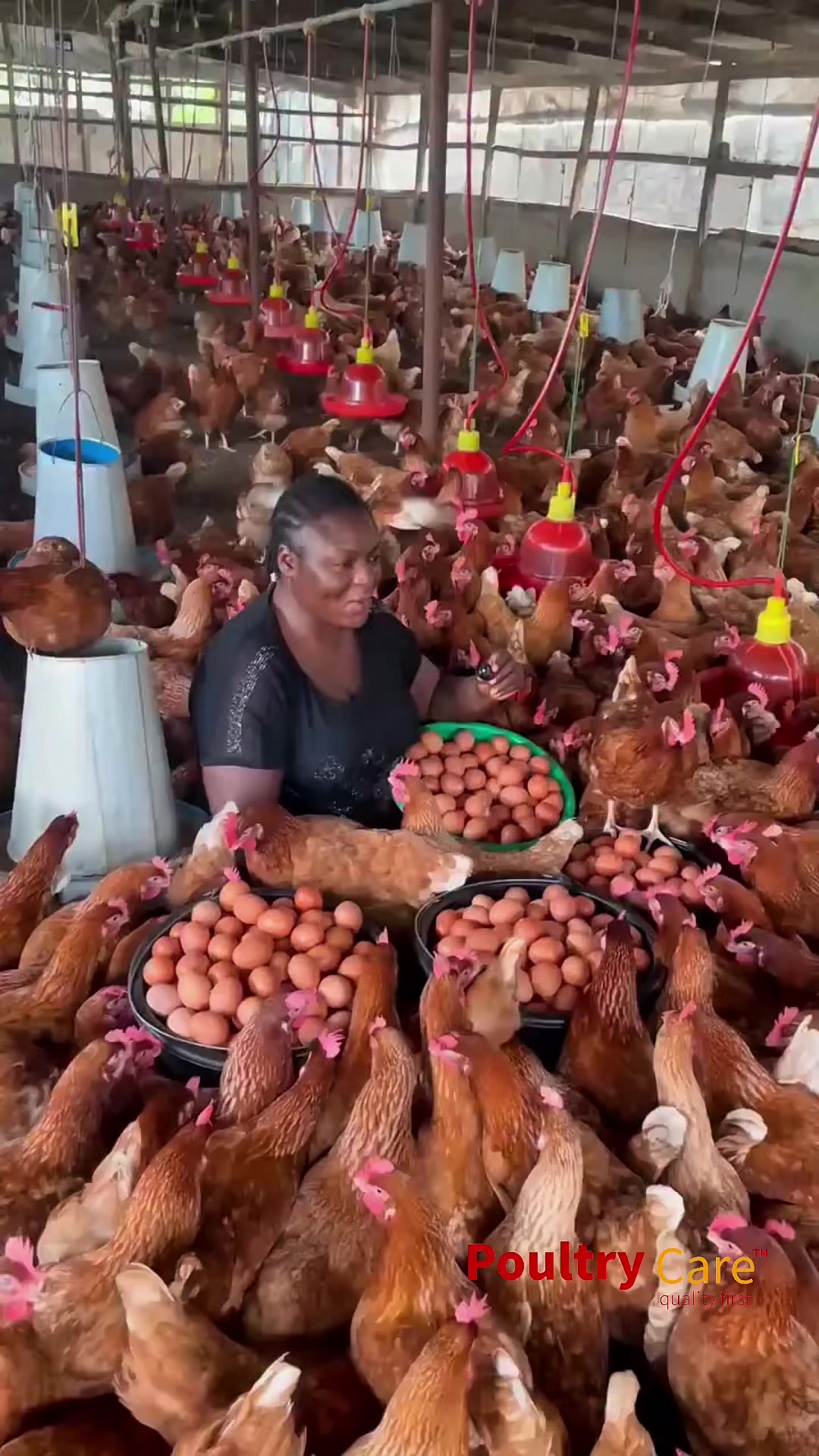 @Poultry Care