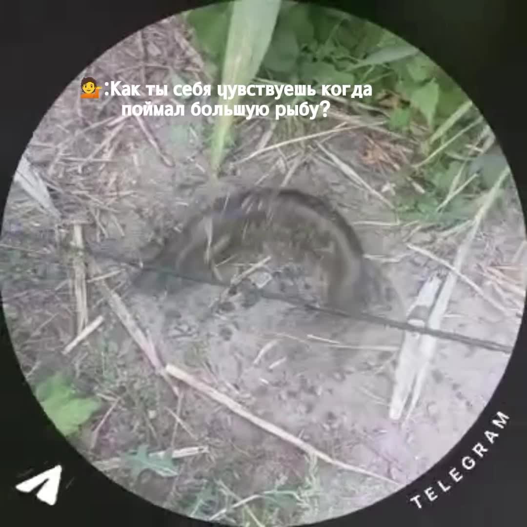 @Уткин⚛️