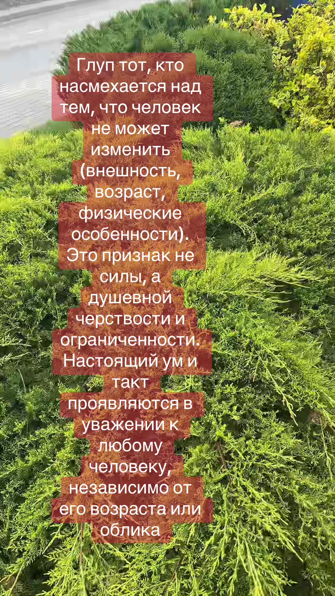 @Елена🇧🇾 Беларусь 🌺
