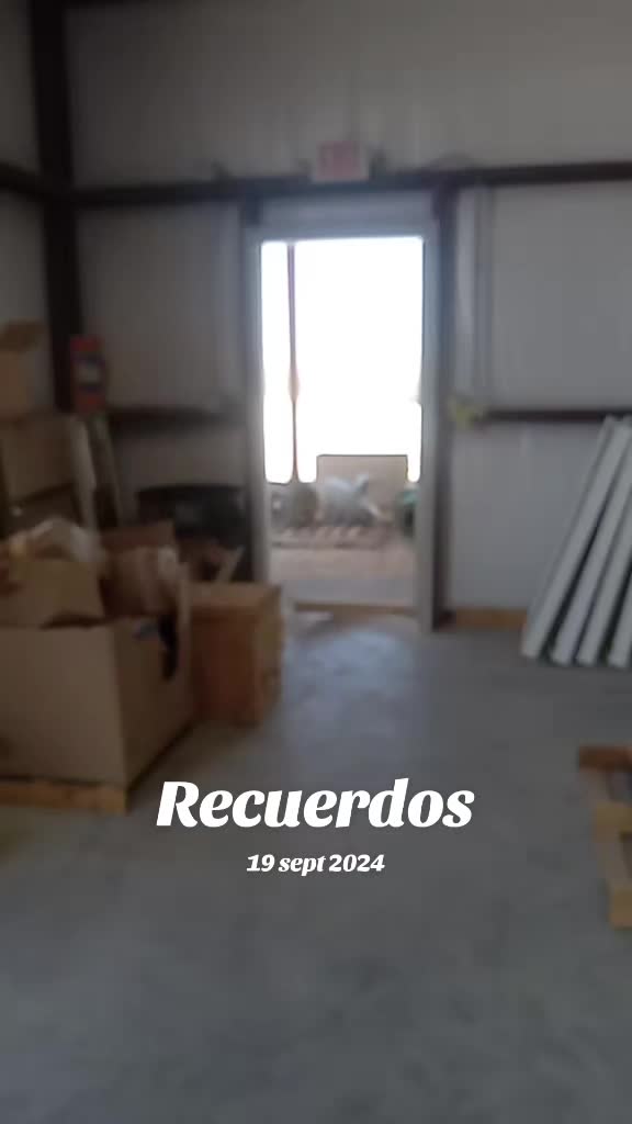 @El minimo del Tiktok
