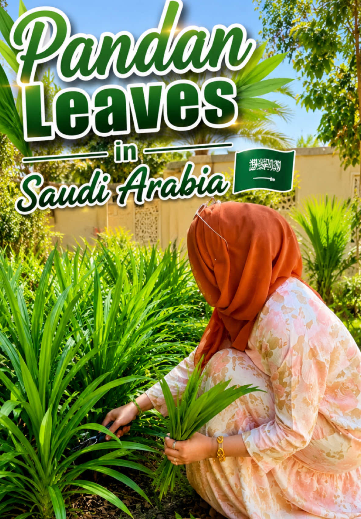 @Nuzra’s Lifestyle