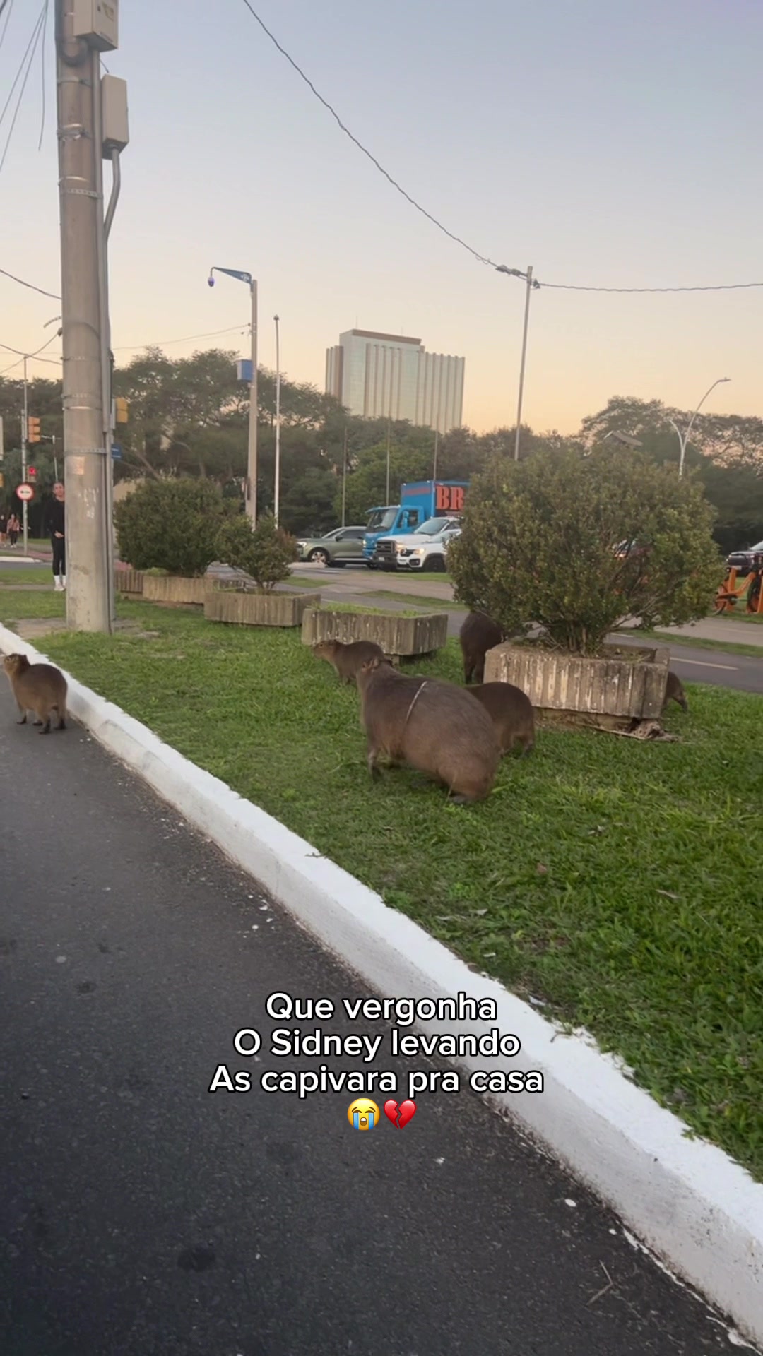 @Lucas