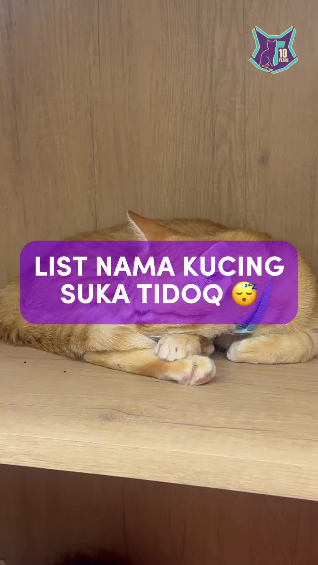 @Tuahvet