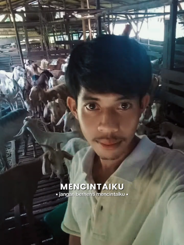 @Khaerul Lina