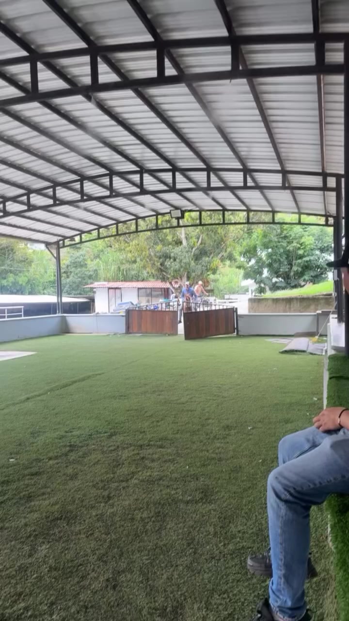 @alejandro.p.sierra✅
